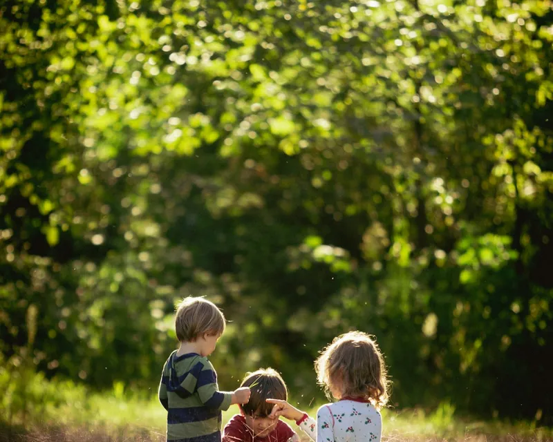 Trois enfants assis dans un champ d'herbes hautes, lumière douce de fin de journée